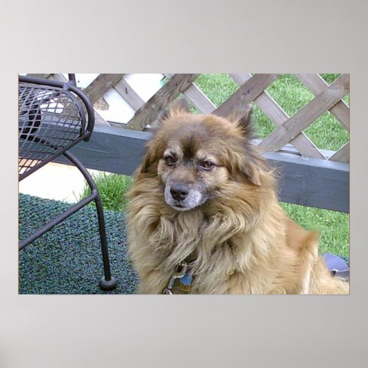 Poster Numéro un fils (Devant)