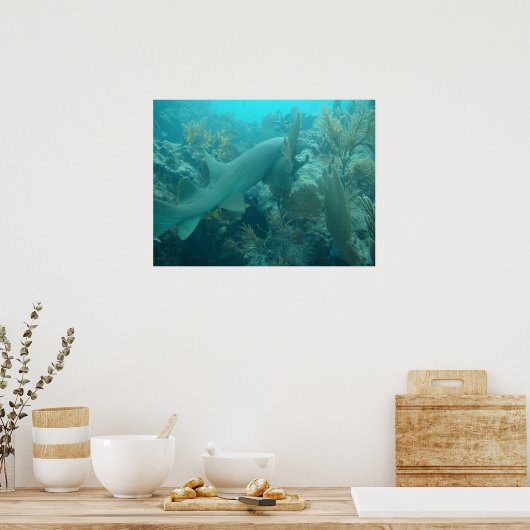 Poster Nurse Shark (Cuisine)