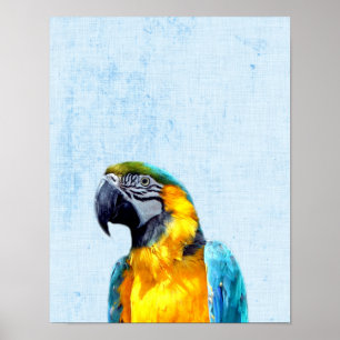 Poster Nursery Minimaliste Perroquet Bleu Pastel Peekaboo