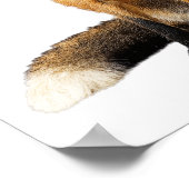 Poster Nursery Photo Fox soufflant Bubble mignonne animal (Coin)