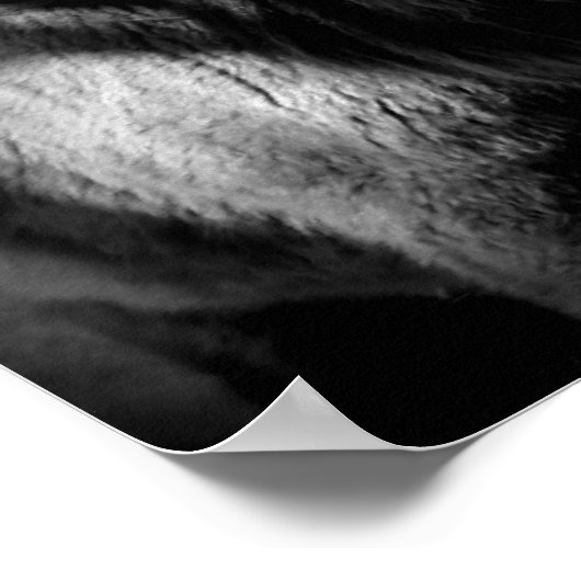 Poster Nursing Filly (Coin)