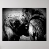 Poster Nursing Filly (Devant)