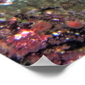 Poster Nusa Lembongan (Coin)