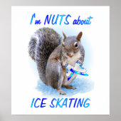Poster Nut de patinage sur glace (Devant)