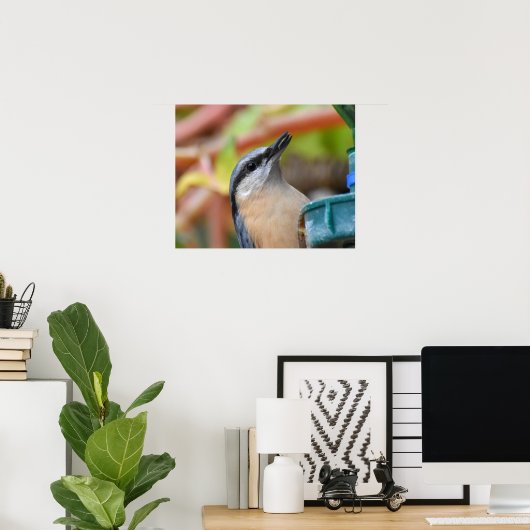 Poster Nuthatch (Bureau à domicile)