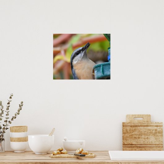 Poster Nuthatch (Cuisine)