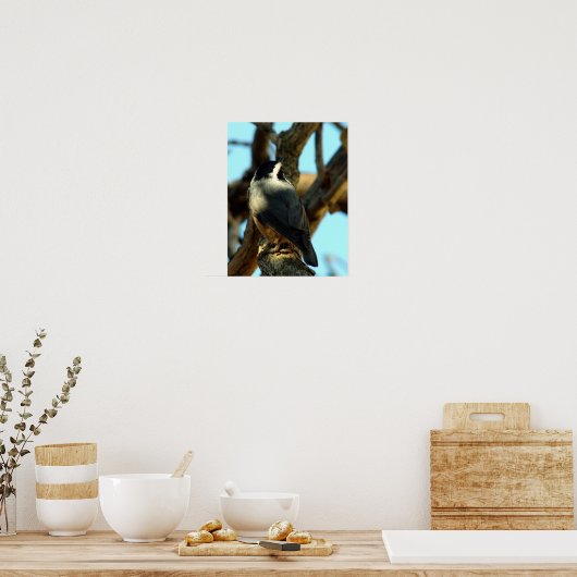 Poster Nuthatch 10/28/07 (Cuisine)