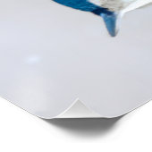 Poster Nuthatch à poitrine blanche en neige - Photo origi (Coin)