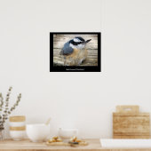 Poster Nuthatch à poitrine rouge (Cuisine)