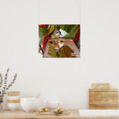 Poster Nuthatch à poitrine rouge (Cuisine)