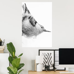 Poster Nuthatch, photo d'oiseaux blancs