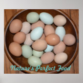 Poster nutritif aux oeufs (Devant)