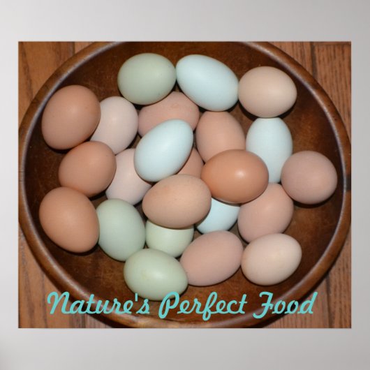 Poster nutritif aux oeufs (Devant)