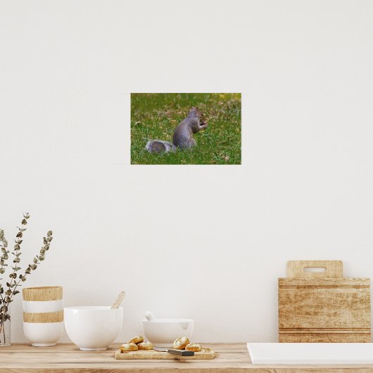 Poster Nutty Squirrel (Cuisine)