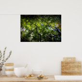 Poster NY Trees (Cuisine)