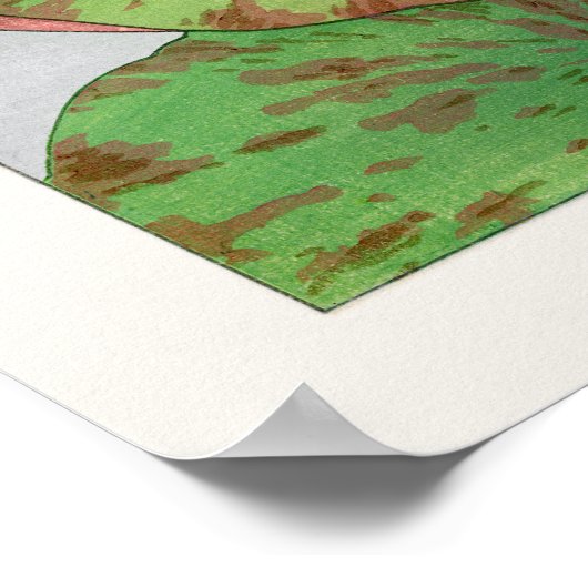 Poster Nymphaea Lotus #1, Rose, Lily Pad, Tanigami Konan, (Coin)