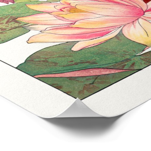 Poster Nymphaea lotus, Floral (Coin)