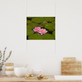 Poster Nymphéas en fleurs (Cuisine)