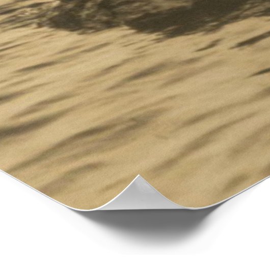 Poster Nymphes d'eau (Coin)