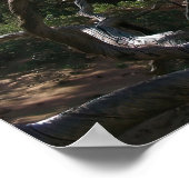 Poster O Arc (Coin)