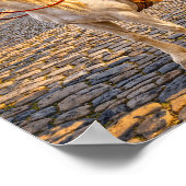 Poster "Ô Dame !" (Coin)