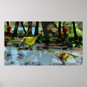 Poster Oahu Amakihi (Devant)