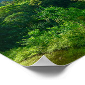 Poster Oahu, forêt tropicale d'Hawaii (Coin)