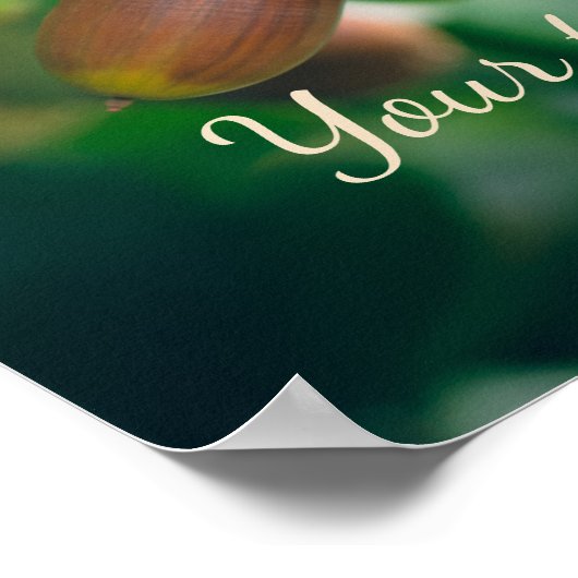 Poster Oak branches with acorns (Coin)