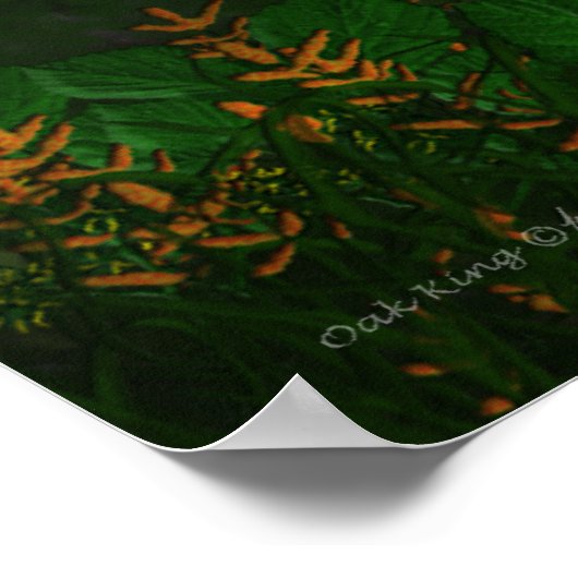 Poster Oak King (Coin)