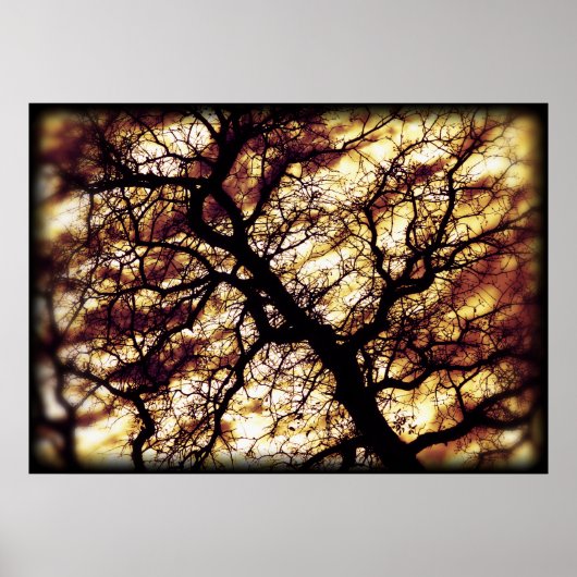 Poster Oak Tree (Devant)