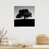 Poster Oak Tree près de Père Noël Cruz, janvier 1963 (Cuisine)