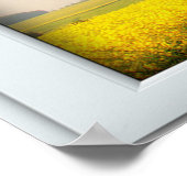 Poster Oak Tree White 2 Volet Illustration (Coin)