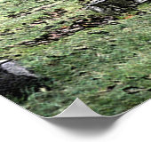 Poster Oakdale (Coin)