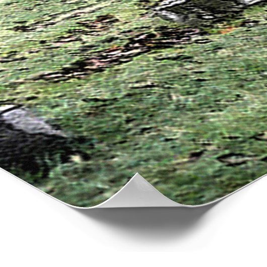 Poster Oakdale (Coin)