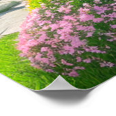 Poster Oasis de couleurs et de vie (Coin)