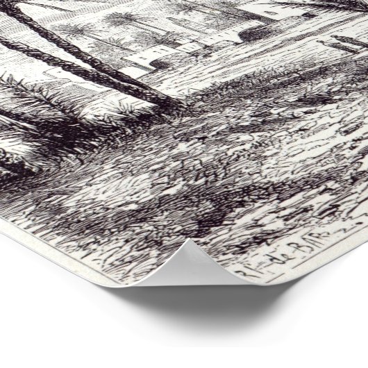 Poster Oasis de Gafsa : Tunis (Coin)