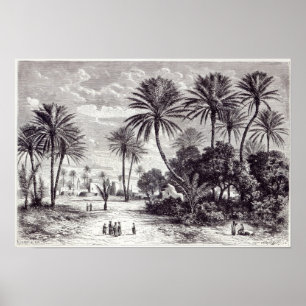 Poster Oasis de Gafsa : Tunis