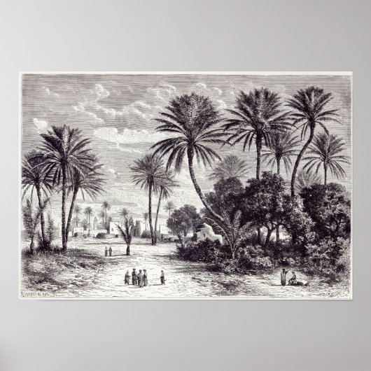 Poster Oasis de Gafsa : Tunis (Devant)