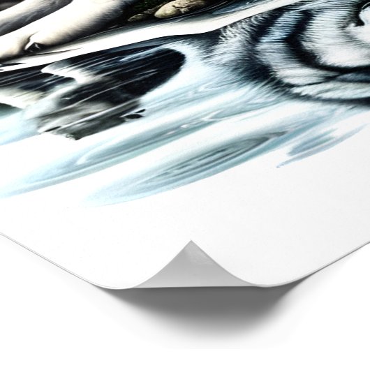 Poster Oasis de la famille des loups sereins dans la natu (Coin)