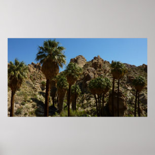 Poster Oasis Lost Palms I dans le parc national de Joshua