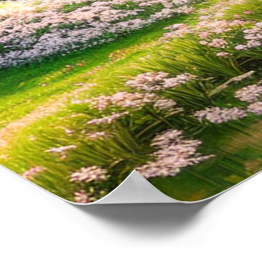 Poster Oasis mythique dans la forêt (Coin)