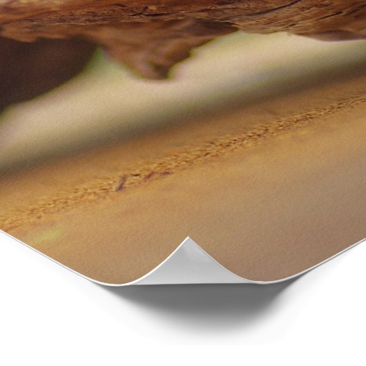 Poster Oasis orchidée (Coin)