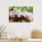 Poster Oasis orchidée (Cuisine)