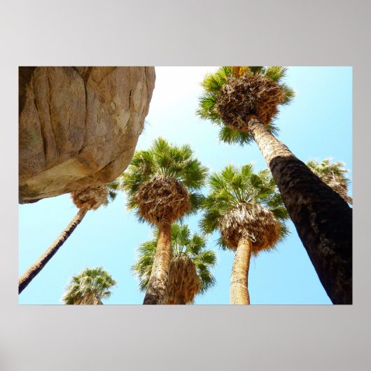 Poster Oasis Palms dans le parc national de Joshua Tree (Devant)