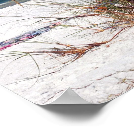 Poster Oats de mer, Plage, (Coin)