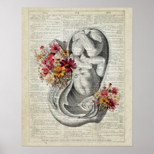 Poster OB de grossesse/GYN Wall Art