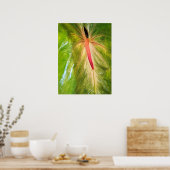 Poster Obake Anthurium (Cuisine)