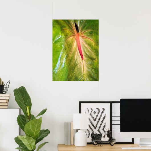 Poster Obake Anthurium (Bureau à domicile)