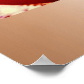 POSTER OBAMAS' FIRST INAUGURAL DANCE (Coin)