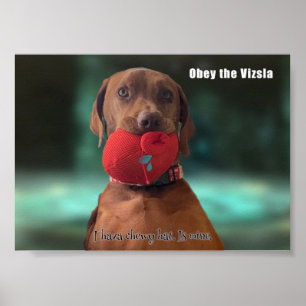 Poster Obéissez à la Vizsla